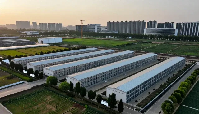 应用开发在技术创新中的角色与实践路径